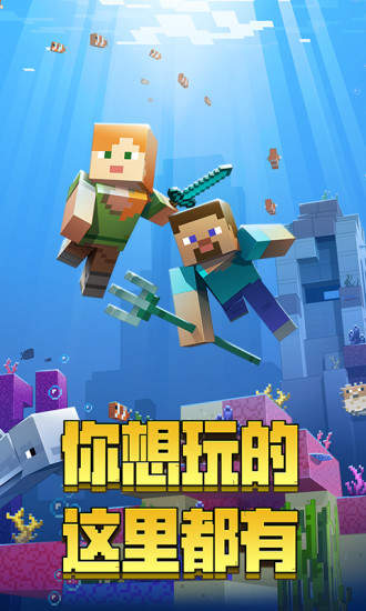 我的世界1.1.0.9