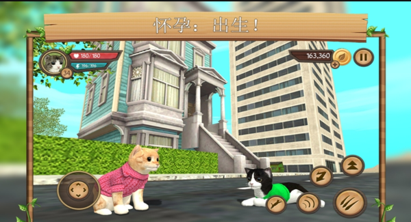 叮当宠物猫红包版