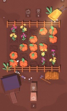 小心种植图2