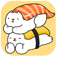 盘起猫咪
