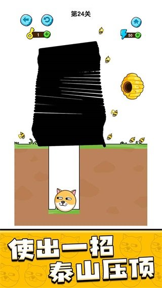 我的狗狗图2