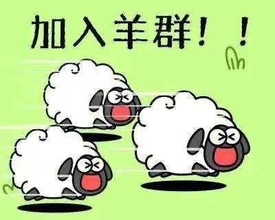 羊了个羊2022年10月11日攻略-羊了个羊第二关攻略一览
