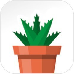 放置花园