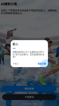 龙猫校园