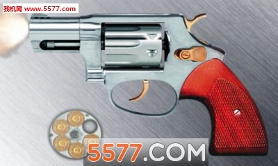 左轮手枪图2