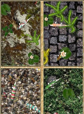 Pocket Pond 2图2