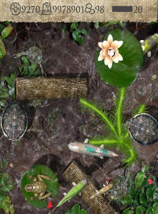 Pocket Pond 2图3