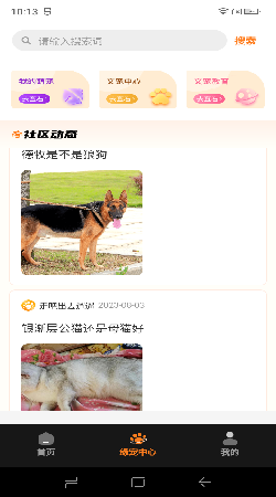 缘宠