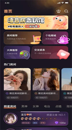 龙龙语音