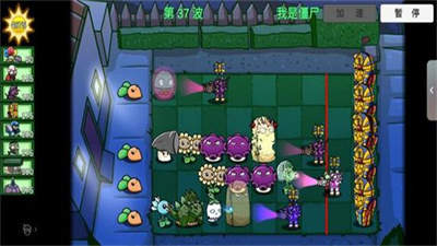 植物大战僵尸加难版